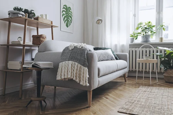 Acogedor Salón Interior Con Sofá Gris Estilo Escandinavo Hoja Monstera — Foto de Stock