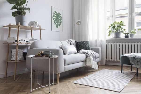 舒适的客厅内部与灰色沙发在斯堪的纳维亚风格和画在框架在墙上的怪物叶子 — 图库照片