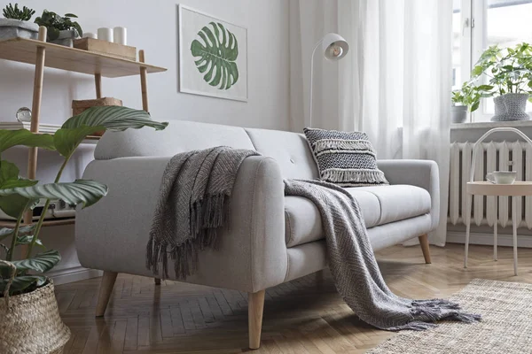 Stijlvolle Lichte Woonkamer Interieur Met Grijze Bank Scandinavische Stijl Geschilderde — Stockfoto