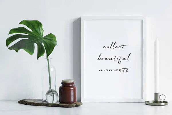 Minimalistic Frame Inspirational Phrase Green Leaf Vase — Stock Photo, Image