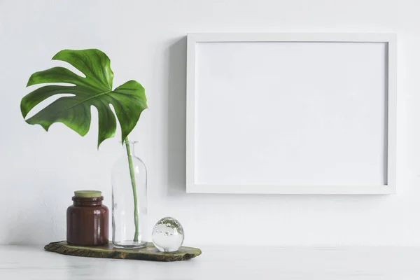 blank frame with monstera green leaf in vase on white background