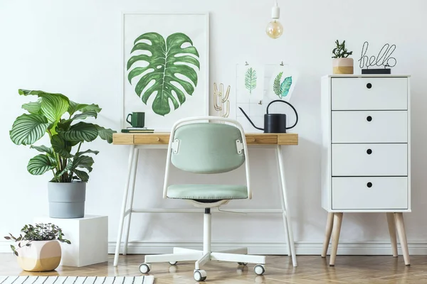 White Stylish Workplace Botanical Art Sketches Wall — Stock Photo, Image