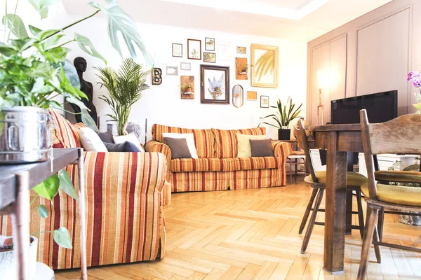 Vintage warm interior with striped old sofas, green plants and frames on wall