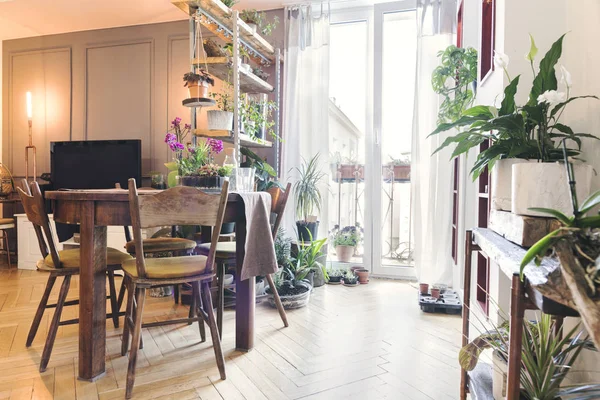 Vintage warm interior with old grunge chairs and green plants