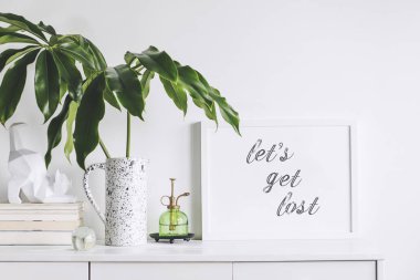 Yeşil bitkiler ve İskandinav dekor ev iç beyaz minimalist kavramı