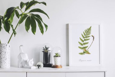 Yeşil bitkiler ve İskandinav dekor ev iç beyaz minimalist kavramı