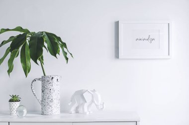Yeşil bitkiler ve İskandinav dekor ev iç beyaz minimalist kavramı