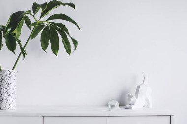Yeşil bitkiler ve İskandinav dekor ev iç beyaz minimalist kavramı