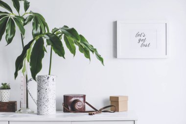 Yeşil bitkiler ve İskandinav dekor ev iç beyaz minimalist kavramı