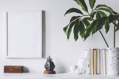 Yeşil bitkiler ve İskandinav dekor ev iç beyaz minimalist kavramı