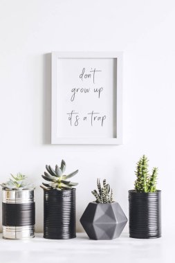 Yeşil bitkiler ve İskandinav dekor ev iç beyaz minimalist kavramı