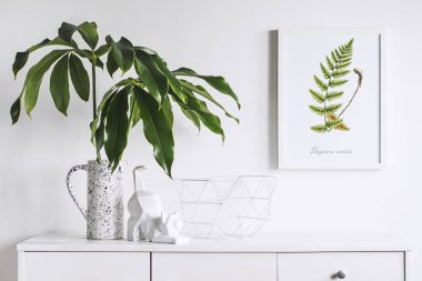 Yeşil bitkiler ve İskandinav dekor ev iç beyaz minimalist kavramı