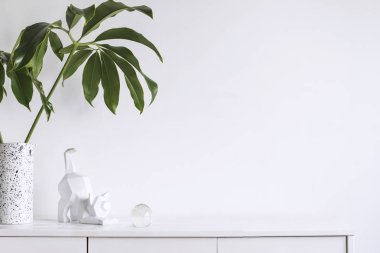 Yeşil bitkiler ve İskandinav dekor ev iç beyaz minimalist kavramı