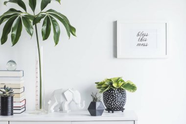 Yeşil bitkiler ve İskandinav dekor ev iç beyaz minimalist kavramı