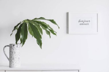 Yeşil bitkiler ve İskandinav dekor ev iç beyaz minimalist kavramı