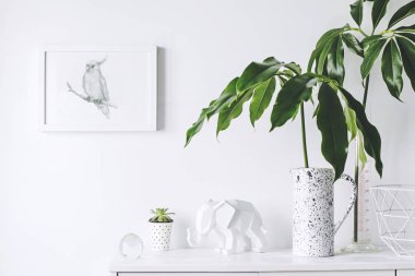 Yeşil bitkiler ve İskandinav dekor ev iç beyaz minimalist kavramı