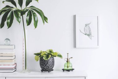 Yeşil bitkiler ve İskandinav dekor ev iç beyaz minimalist kavramı