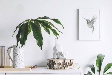 Yeşil bitkiler ve İskandinav dekor ev iç beyaz minimalist kavramı