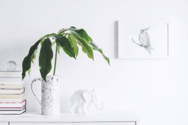 Yeşil bitkiler ve İskandinav dekor ev iç beyaz minimalist kavramı