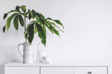 Yeşil bitkiler ve İskandinav dekor ev iç beyaz minimalist kavramı