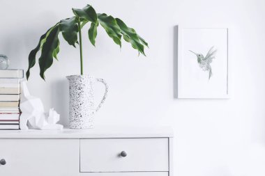 Yeşil bitkiler ve İskandinav dekor ev iç beyaz minimalist kavramı
