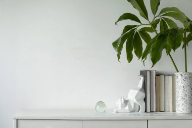 Yeşil bitkiler ve İskandinav dekor ev iç beyaz minimalist kavramı