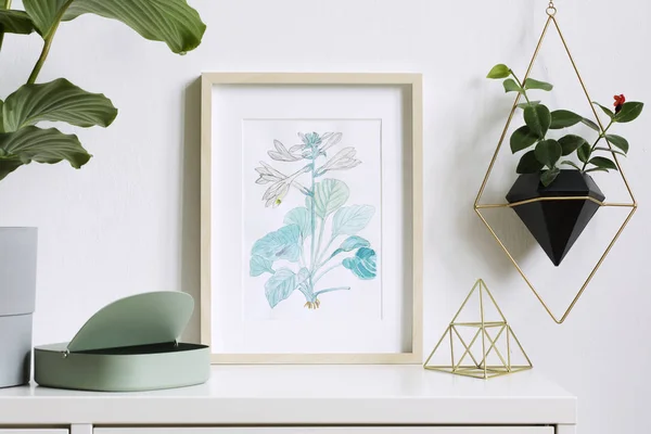 Aquarela Planta Desenho Moldura Branca Interior Minimalista Elegante — Fotografia de Stock