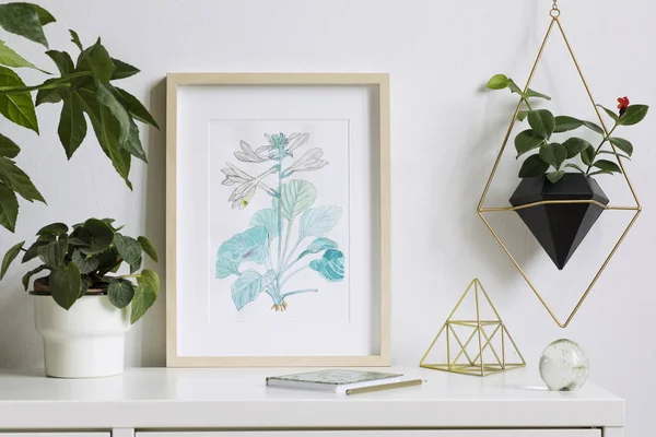 Watercolor plant drawing in white frame in stylish minimalist interior