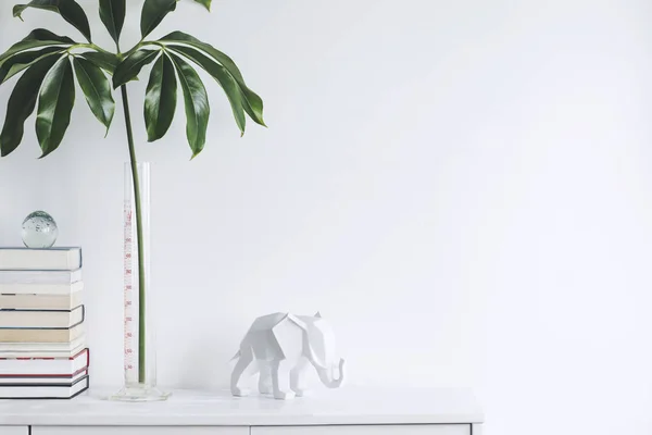 Minimalistic Concept White Home Interior Green Plants Scandinavian Decor — Stock Photo, Image
