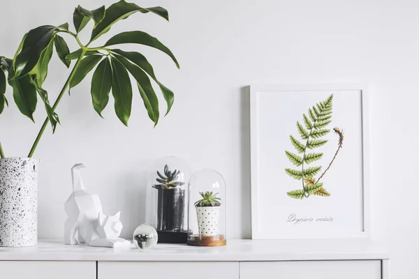 Concepto Minimalista Interior Blanco Con Plantas Verdes Decoración Escandinava —  Fotos de Stock