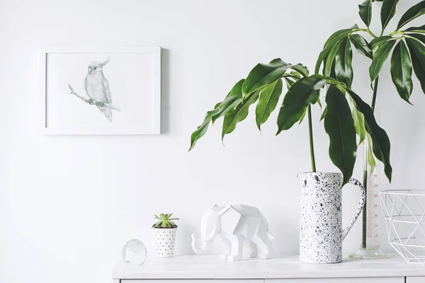 Conceito Minimalista Casa Branca Interior Com Plantas Verdes Decoração Escandinava — Fotografia de Stock