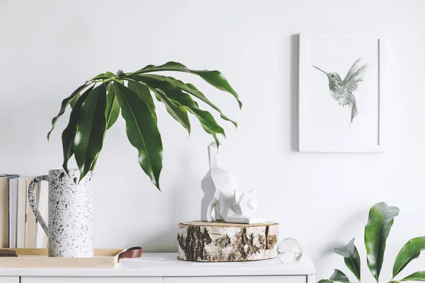 Concepto Minimalista Interior Blanco Con Plantas Verdes Decoración Escandinava — Foto de Stock