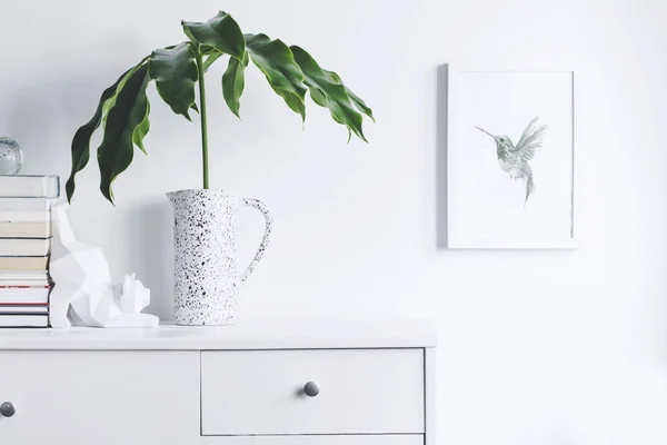 Minimalistic Concept White Home Interior Green Plants Scandinavian Decor — Stock Photo, Image