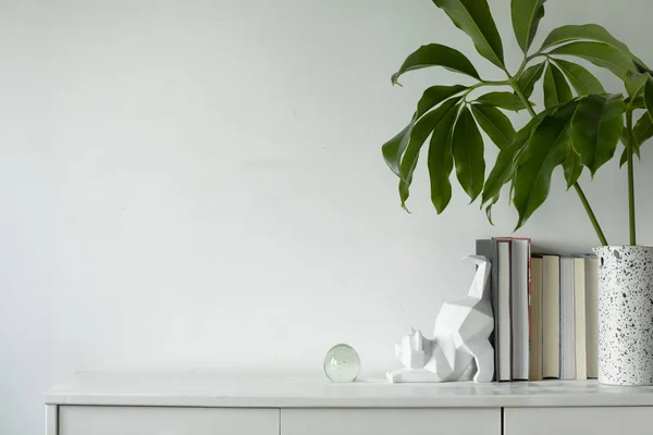 简约的概念 白色的家庭内部与绿色植物和斯堪的纳维亚装饰 — 图库照片