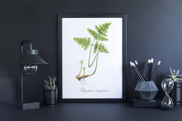 Creative cupboard with mock up poster frame, ceramic figure, plants on black background