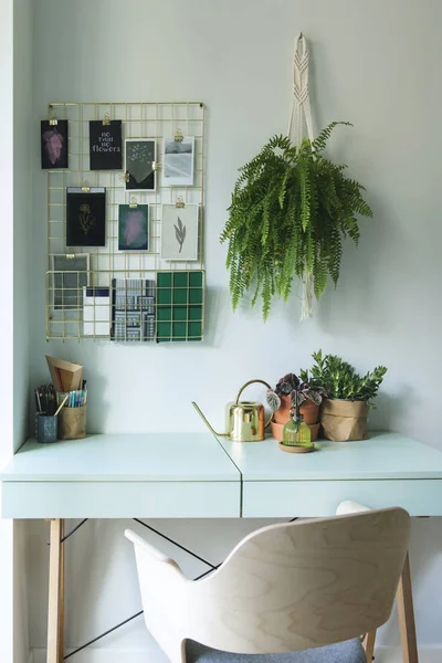 Elegante Lugar Trabajo Con Moodboard Planta Pared — Foto de Stock