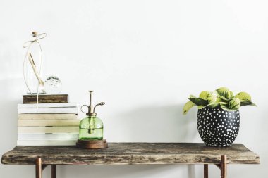 Yeşil bitki şık pot, kitaplar ve ahşap masa üzerinde vintage püskürtülen ilaç şişe yığını