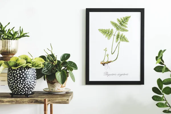 Hand Drawn Green Aquarel Fern Leaf Frame Plants Old Wooden — Stock Photo, Image