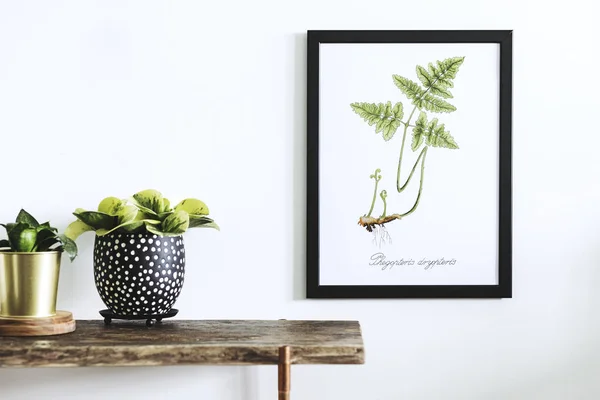 Folha Samambaia Aquarel Verde Desenhada Mão Quadro Com Plantas Mesa — Fotografia de Stock