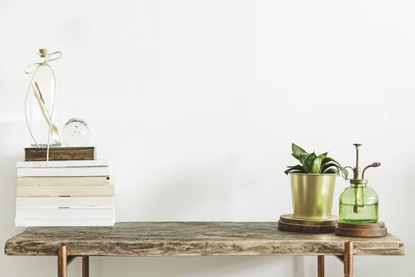 Green Plant Stylish Pot Stack Books Vintage Spray Bottle Wooden — Stock Photo, Image