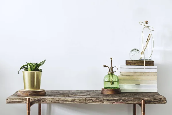 Yeşil bitki şık pot, kitaplar ve ahşap masa üzerinde vintage püskürtülen ilaç şişe yığını