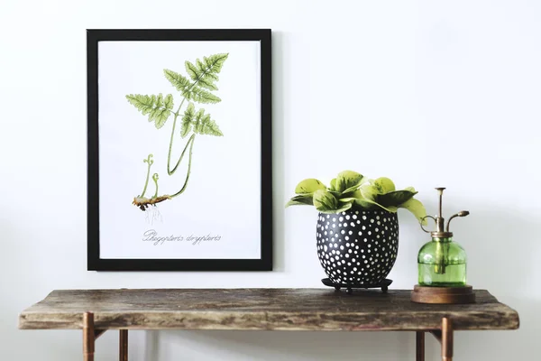 手描きのフレームに緑 Aquarel シダの葉とポットとビンテージ ボトルの観葉植物木製テーブルの上 — ストック写真