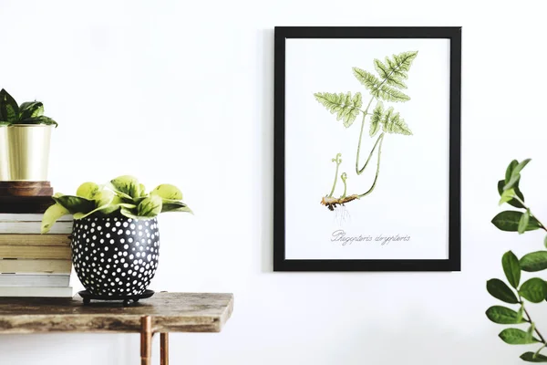 古い木製のテーブルに植物とフレームの緑 Aquarel シダの葉を描画 — ストック写真