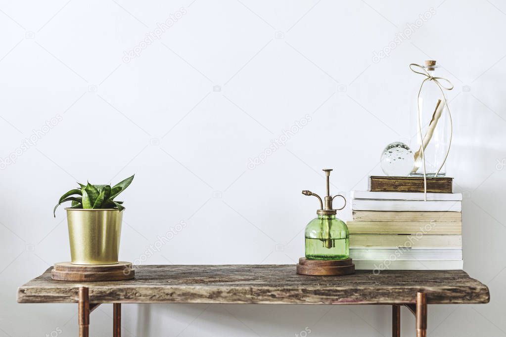 Green plant in stylish pot, stack of books and vintage spray bottle on wooden table
