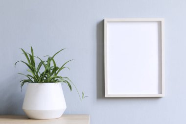 Yeşil bitki çimentolar pot ve gri duvar boş çerçeve