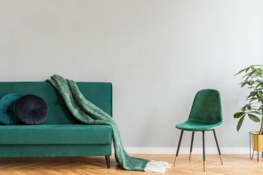 Minimalist iç şık yeşil kadife kanepe ve yeşil sandalye 
