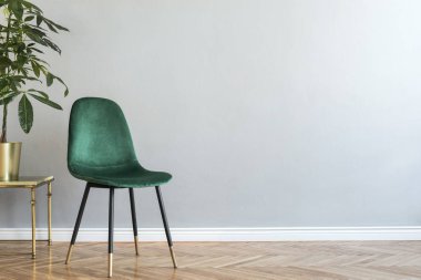 Altın saksı yeşil kadife sandalye ve tropikal bitki ile lüks ve minimalist gri ev iç. Yazıt için yer kopyala, posteri taklit et. Boş duvar. Kahverengi ahşap parke.