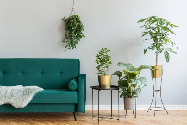 Elegante Sofá Terciopelo Verde Con Plantas Interior Verdes —  Fotos de Stock