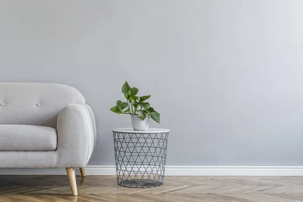 Intérieur Minimaliste Avec Canapé Design Gris Panier Géométrique Belle Plante — Photo