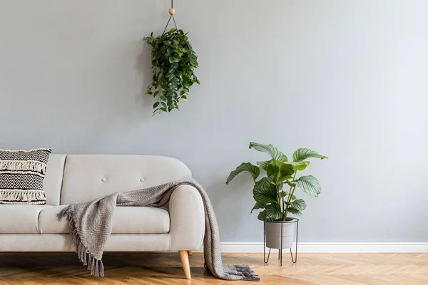 毛布および緑の植物が付いているスカンジナビア様式の灰色のソファー — ストック写真